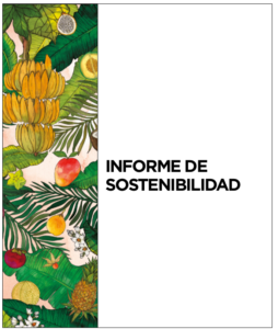 Informe